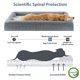thumbnail image 3 of WNPETHOME Camas para perros lavables de tamaño grande, cama para perros XXXXL, sofá cama ortopédico para perros con funda extraíble e impermeable, cama para perros extra grande con laterales reforzado, 3 of 5