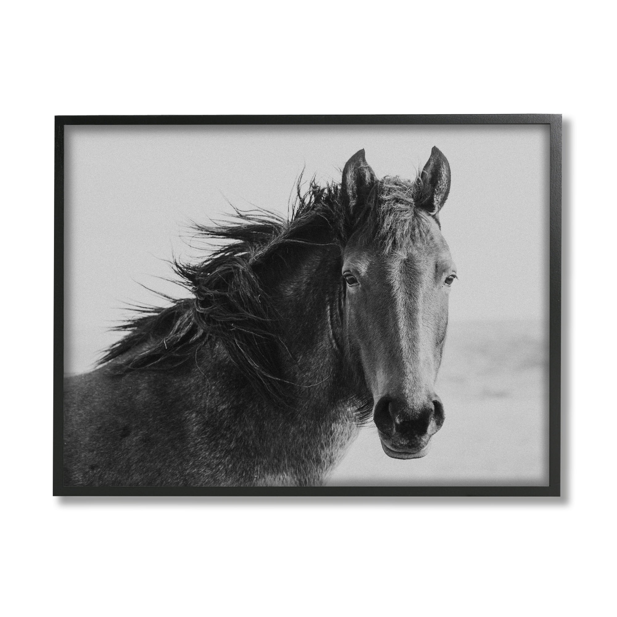 Stupell Industries Black Stallion Equestrian Portrait Vintage Horse Photography, 20 x 16,Design by Marika Moffit