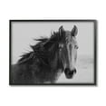 thumbnail image 5 of Stupell Industries Black Stallion Equestrian Portrait Vintage Horse Photography, 30 x 24,Design by Marika Moffit, 5 of 5