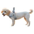 thumbnail image 6 of Pet No Pull Dog Harness with Breathable Mesh Padded, Adjustable Reflective Escape Proof Dog Harness, Quick Fit Dog Vest Harness for Small Medium Large Dogs, 6 of 9
