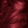 R2 Medium Intense Auburn
