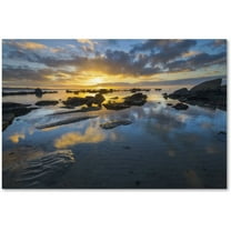 Trademark Fine Art "Nature's Gift" Canvas Art by Mathieu Rivrin