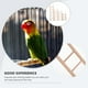 thumbnail image 2 of 4pcs loro escaleras escaleras juguetes de escalera de madera para pájaros jaula colgante de la escalera juguetes, 2 of 4