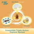 thumbnail image 5 of ZingZap Roach Glue Trap Cantaloupe 13-Pack, Capsulated Natural Ingredients Bait, 2X Faster Catch, Sticky Glue Trap for Roaches, Ants, Millipedes, Silverfish & Beetles, Children-&-Pet-Safe, 5 of 8