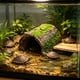 thumbnail image 1 of Cueva de árbol artificial para reptiles con terraza de asoleo y cuevas ocultas para tortugas, lagartos y recintos de reptiles, verde, plástico, múltiples tamaños, 1 of 6