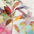 thumbnail image 2 of Great Art Now Charlotte I by Asia Jensen Canvas Wall Art, 2 of 2