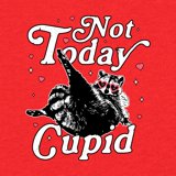 Learning Now Day Meme Wild Bobby Not Today Cupid Cute Funny Trash Panda Meme Valentine's Day ...