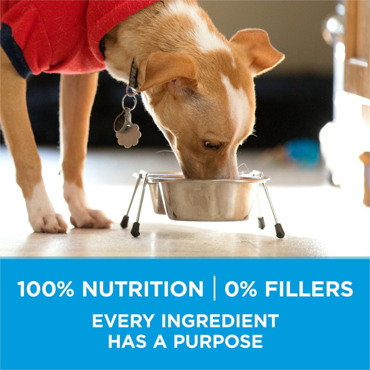 Purina ONE SmartBlend Formule Pour Petit Chiens Boeuf, Nourriture Sèche pour Chiens 1,81-3,63kg