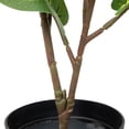 thumbnail image 6 of Northlight Two-Tone Fiddle Leaf Fig Artificial Potted Plant - 26" - Green, 6 of 8