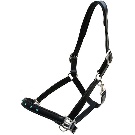 Horse Black Leather Padded Show Halter w/ Turquoise Rhinestones 805LH01BK-F