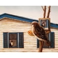 thumbnail image 3 of Heffernan, Lucia 24x20 Black Modern Framed Museum Art Print Titled - Portrait Of An Enemy, 3 of 5
