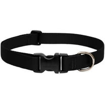 LupinePet Basics 1" Black 12-20" Adjustable Collar for Medium and Larger Dogs