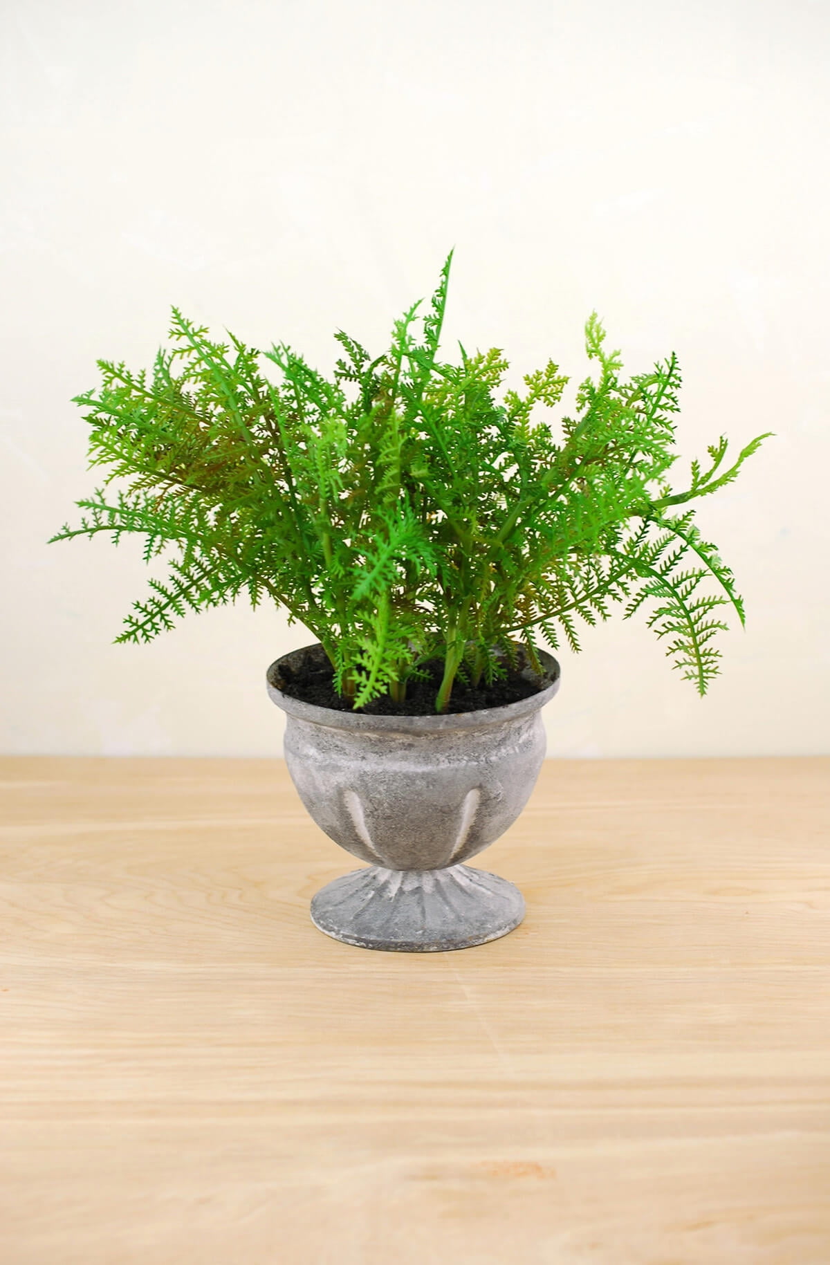 Artificial Potted Fern Plant in Ceramic Pot 11 inches