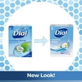 Dial Skin Care Bar Soap, Coconut Water, 4 oz, 8 Bars