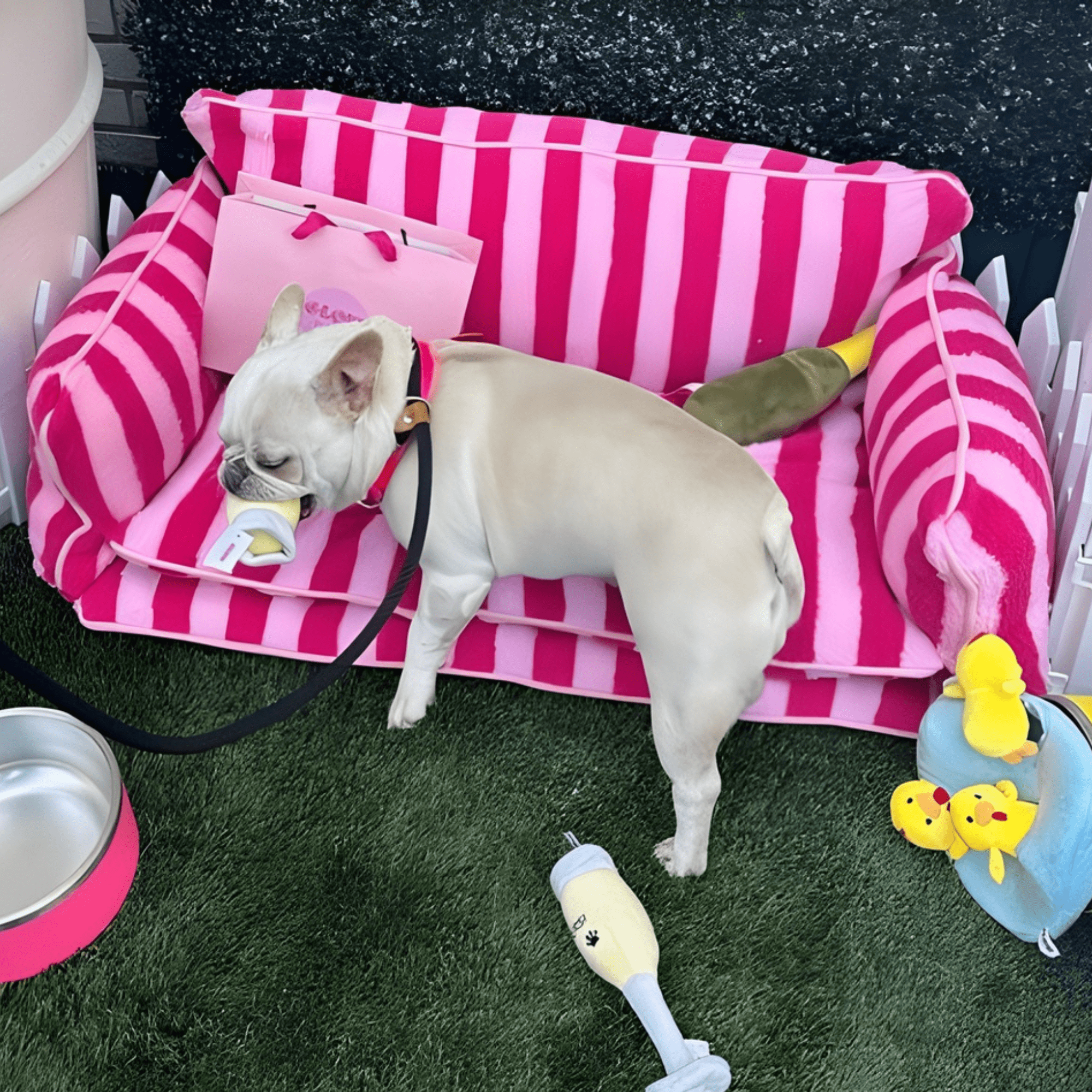 Glow Pups Extra Large Washable Pet Bed, Pink Striped, Size 	39.37"L x 23.62"W x 15.75"Th