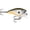 Change Up, variant on Balsa Xtreme Brat Hard Bait Lure