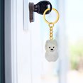 thumbnail image 3 of Pet Fur Remoke Capsule Collector Memorial Keychain (C) 5 Piezas, 3 of 7