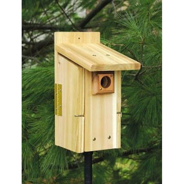 GC Songbird Essentials Ultimate Bluebird House