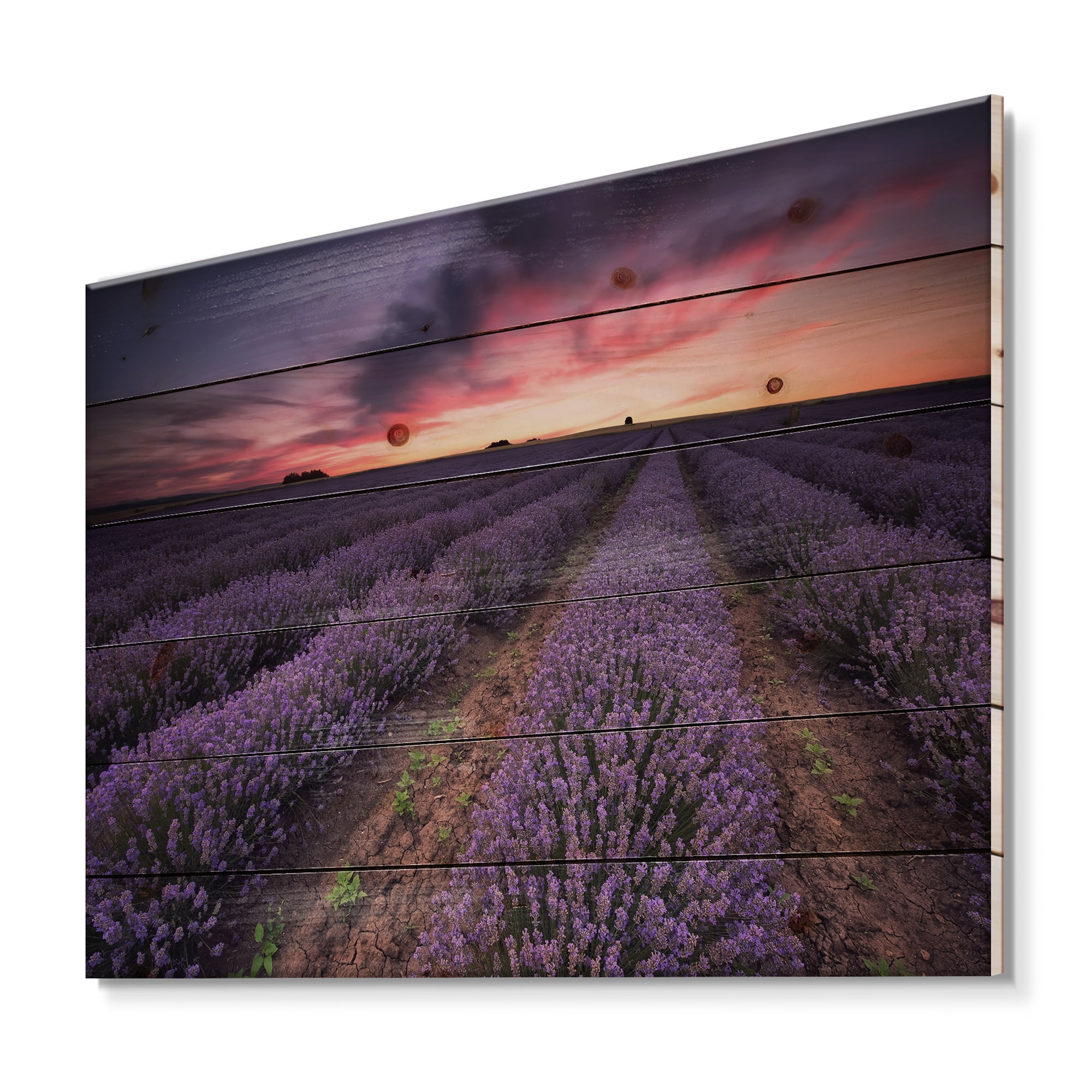 Designart 'Dramatic Clouds and Sunrise Over Lavender Field IX' Farmhouse Print on Natural Pine Wood