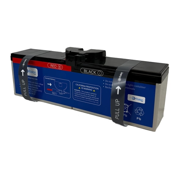 Cartucho de batería de repuesto Raion Power 24V 7.5Ah 160