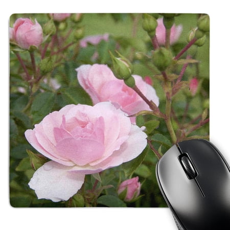3dRose  Maine  Ogunquit  pink roses - US20 LEN0003 - Lisa S. Engelbrecht  MousePad price history on PriceWatchPro
