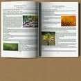 Price Drop The Lost Book of Herbal Remedies Explore the World of