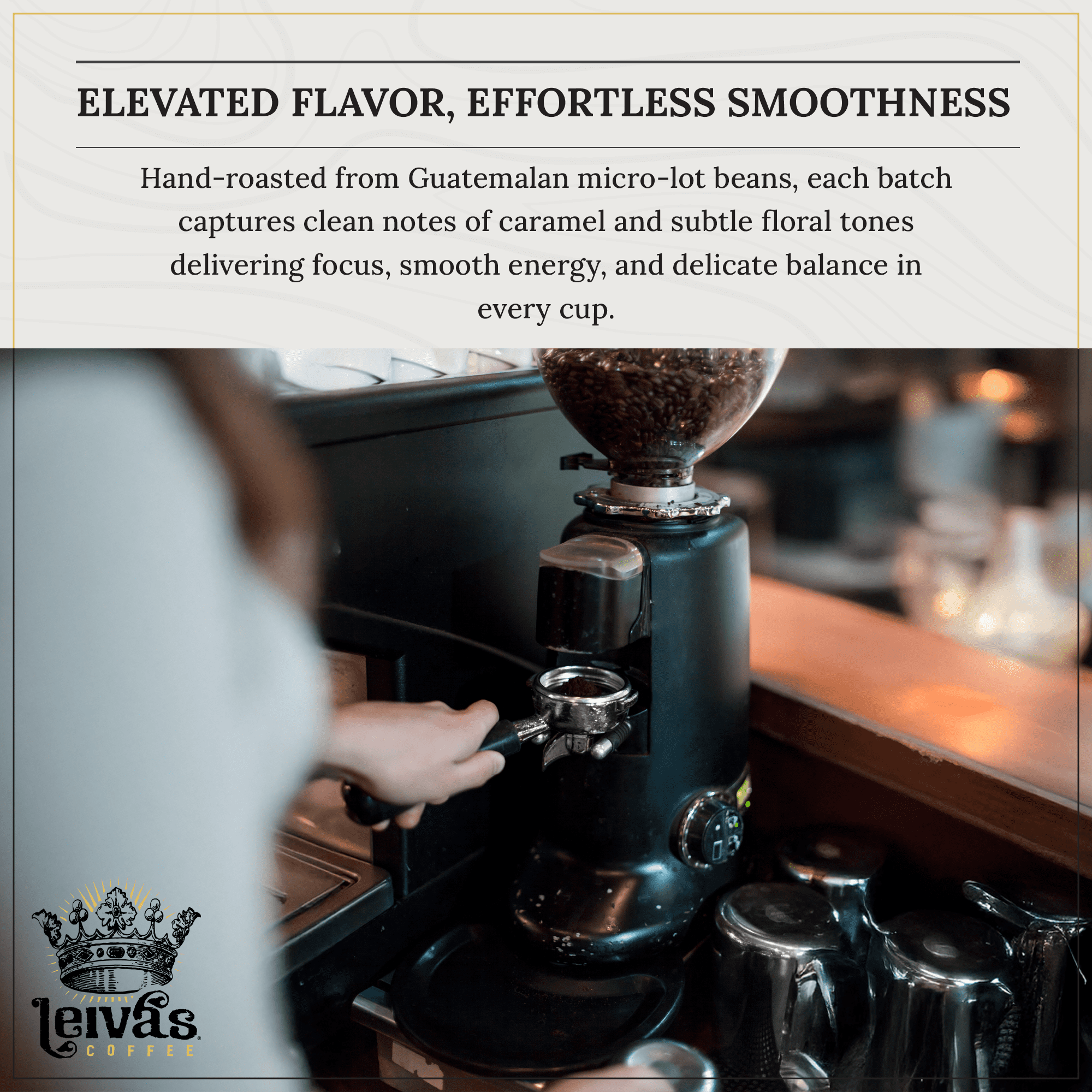 Leiva’s Whole Bean Blonde Espresso (8oz), Roasted to Order, Micro-Lot Guatemalan Beans – El Capitan Elijah Espresso Coffee Beans w/ Floral, Citrus & Caramel Notes - Low Acidity Blonde Roast ( 2 Pack)