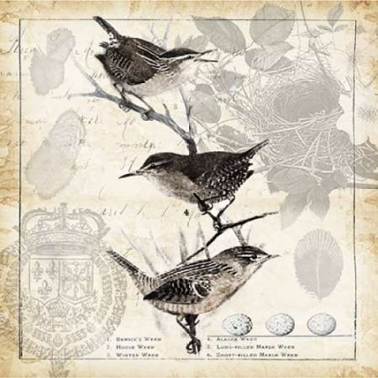 Botanical Birds Bla