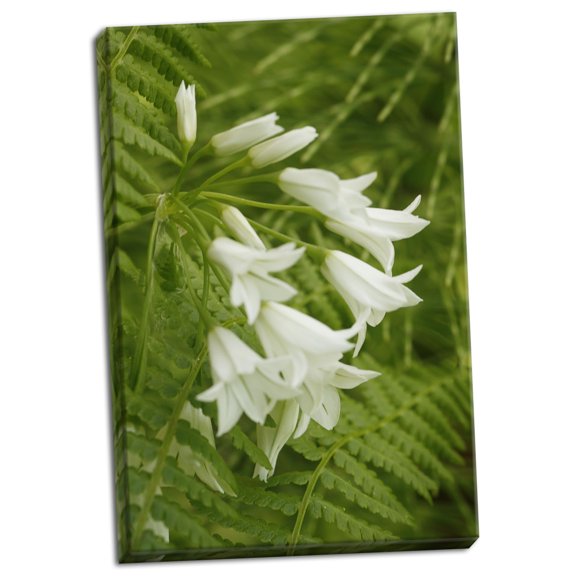 Gango Home Decor Gentle Bells I by Vitaly Geyman (Ready to Hang); One 24x36in Hand-Stretched Canvas