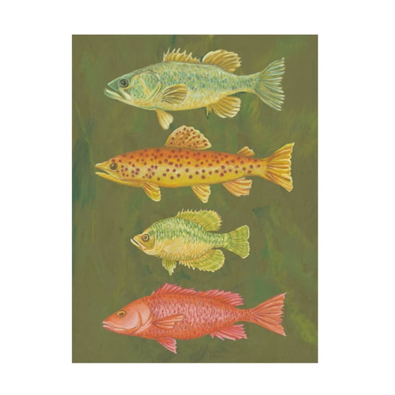 Canvas Wall Art - Andrea Strongwater 'Fish Chart Loden' Wall Art for Living Room, Bedroom, or Office Décor by Trademark Fine Art - 14 x 19 Inches