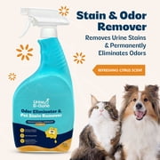 Kinzua Environmental Urine B-Gone, Enzyme Odor Eliminator & Pet Stain Remover, 32oz, Citrus Scent