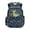 Blue Music Dinosaur Skeleton, variant on Axolotl Kids Backpack for Girls, Cartoon Salamander Print School Bag Lightweight/Breathable/Durable/Waterproof Multi-Pocket Book Bag for Elementary Students