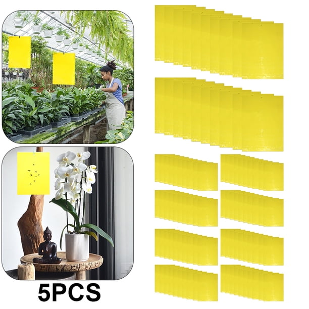 Trampas adhesivas para insectos - 20 piezas pegatinas papel moscas plantas interior