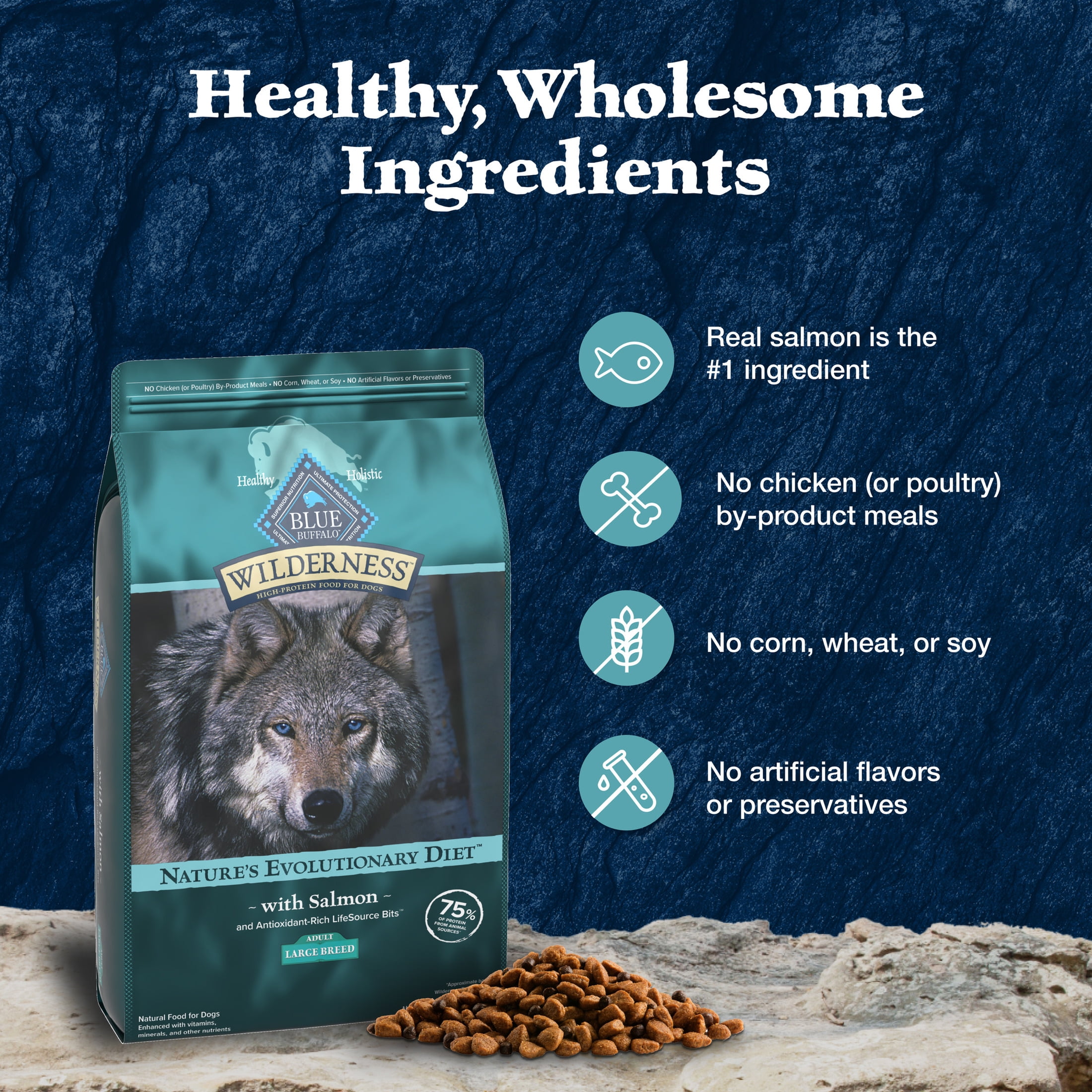 Blue Buffalo Wilderness Natural High-Protein Dry Food for Dogs, Salmon, 28-lb bag.