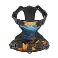 thumbnail image 4 of Lsque Sunset Sky Sunflower Dog Harness, No-Pull Pet Harness with 2 Leash Clips, Adjustable Soft Padded Dog Vest with Easy Control Handle for Large Dogs-Large, 4 of 9
