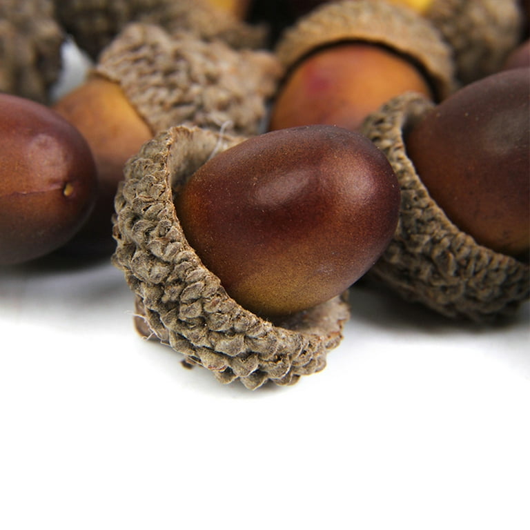  Lorigun 50 Pcs Artificial Acorns with Natural Acorn Cap Fake  Acorn for Decoration Home House Kitchen Decor Christmas Decoration Fall  Table Scatter Crafting (Brown Faux Nut) : Home & Kitchen