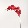 thumbnail image 5 of Artificial Phalaenopsis Orchid Stem, 9 Heads Latex Phalaenopsis Stems Fake Orchid Spray, Elegant Clustered Orchid Blooms Tall Stem, Artificial Orchid Stem Bouquets for Home Decor 1Pcs, 5 of 6