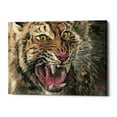 thumbnail image 1 of Epic Graffiti 'Rage' by River Han, Canvas Wall Art, 26"x18", 1 of 2