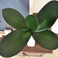 thumbnail image 3 of Allume 2Pcs Simulation Phalaenopsis Leaf Decor Flowers Orchid Leaves Micro Landscape Decor Green, 3 of 11