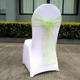 thumbnail image 6 of HomeLife 40Pcs Organza Chair Sashes Exquisite Workmanship Chair Bow Sash Wear-resistant Polyester Bow Knot Chair Back Ribbon for Wedding Decoration, 6 of 13