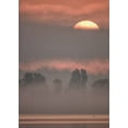 thumbnail image 2 of Hieke, Heinz 24x32 Black Ornate Wood Framed with Double Matting Museum Art Print Titled - Sun III, 2 of 4