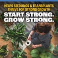 thumbnail image 4 of Pennington Easy Dose Plant Starter 32oz, 4 of 12