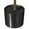 thumbnail image 3 of Vickerman 27" Green Fiddle Leaf Plant in Black Pot., 3 of 3