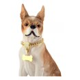 thumbnail image 2 of Collar De Cadena De Perro Dorado Con Etiqueta Y Piedras De C, 2 of 7