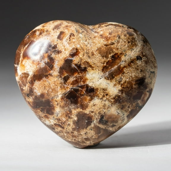 Polished Brown Petrified Wood Heart from Madagascar (350 grams)