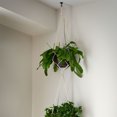 thumbnail image 3 of Uxcell Ceiling Hooks with Hardware Zinc Alloy Bronze 34x55mm 2Pcs for Hanging Plants, 3 of 6