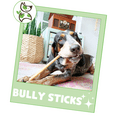thumbnail image 6 of Nature Gnaws Natural Mixed Beef Bully Sticks for Dogs 11-12" (8 oz) Rawhide-Free Pet Chew Treats, 6 of 7
