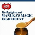 thumbnail image 5 of Manuka Health - Manuka Honey MGO 250 - 8.8 oz., 5 of 12