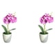 thumbnail image 4 of Bonsáis artificiales Naiovety no tóxicos y durables para planta artificial de DIY, 4 of 6