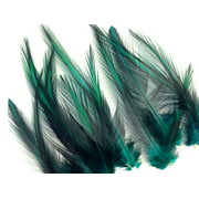 10 Pieces - Peacock Green Laced Medium Rooster Cape Feathers